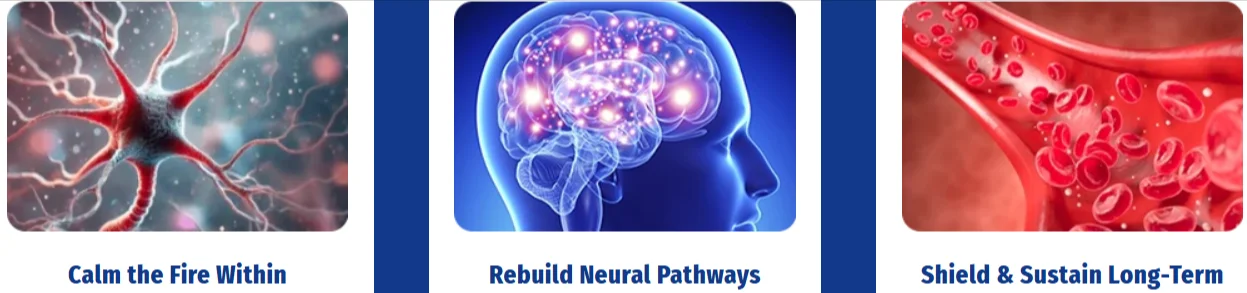 Neuro Serge Works